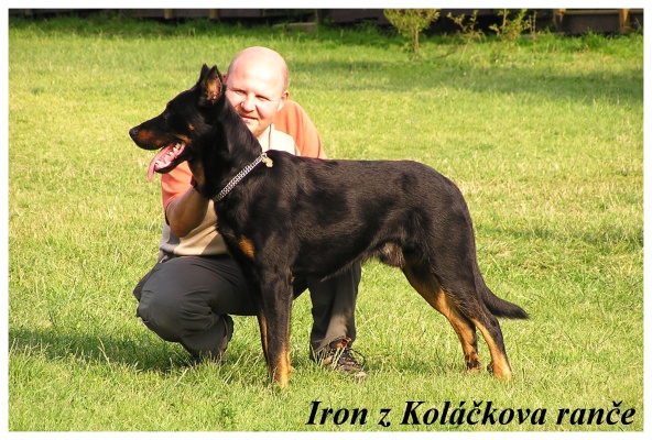 Iron z Kolkova rane