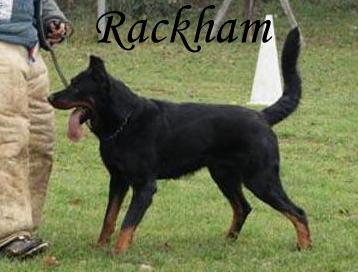 Rackham du Gex dEmplume