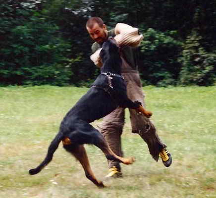 B z Kakovy samoty