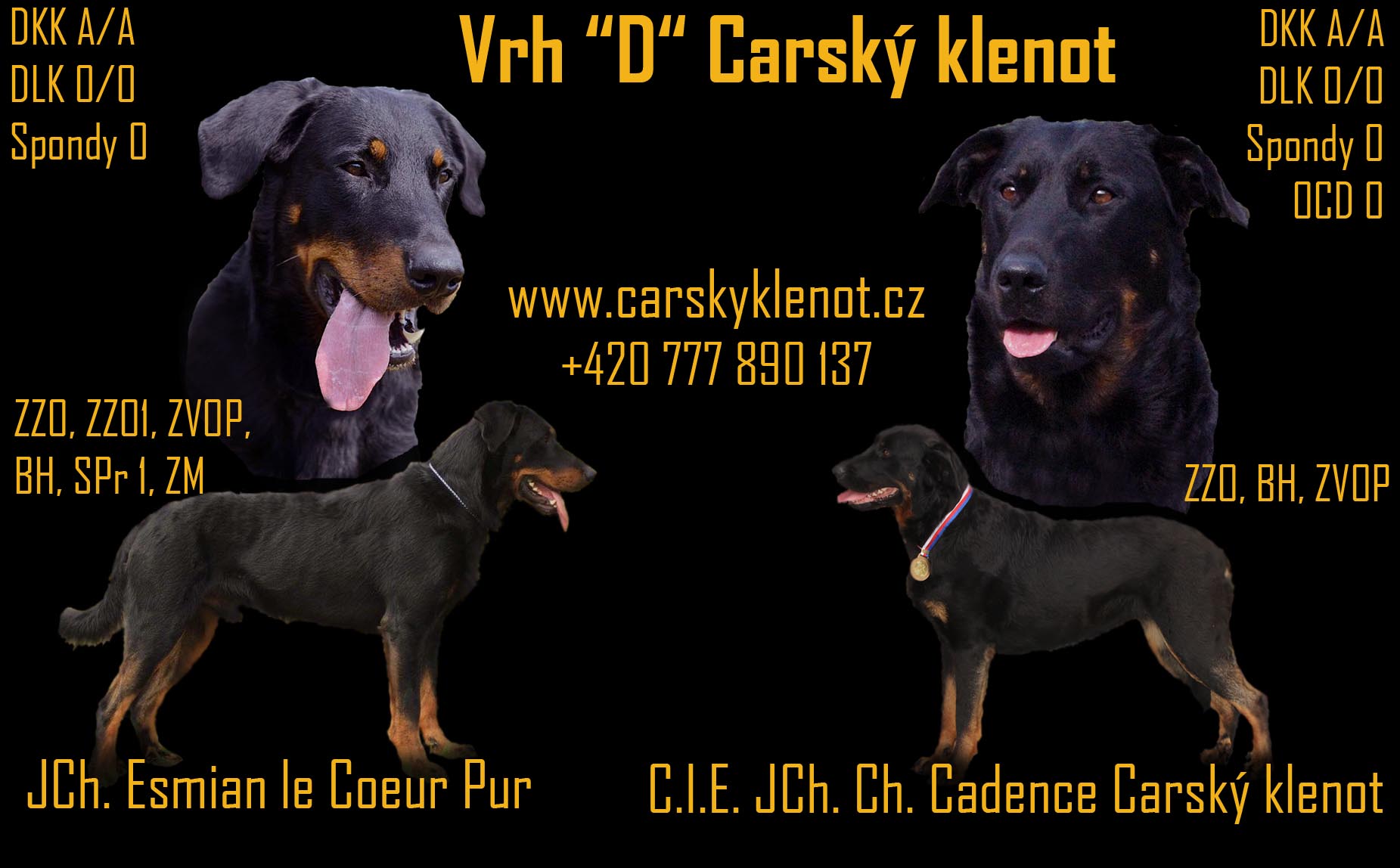 D Carsk klenot