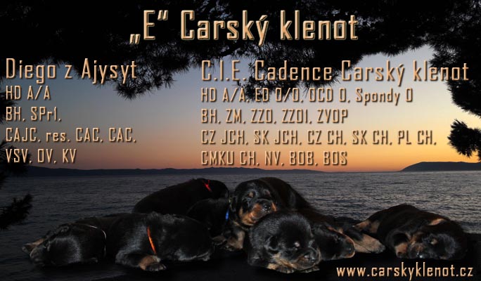 E Carsk klenot 2