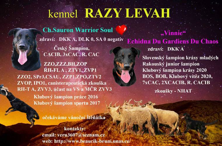 Razy Levah