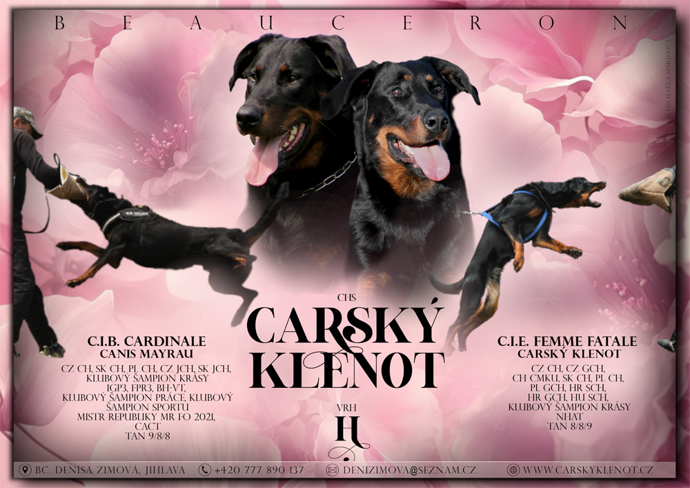 Carsk klenot H