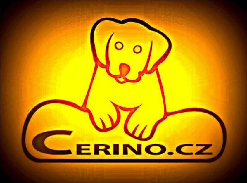 Cerino