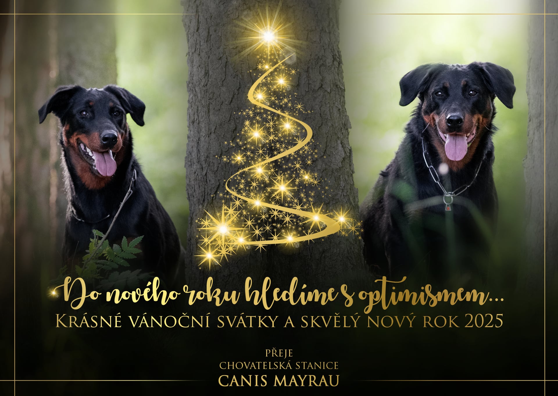 PF 2025 Canis MAyrau